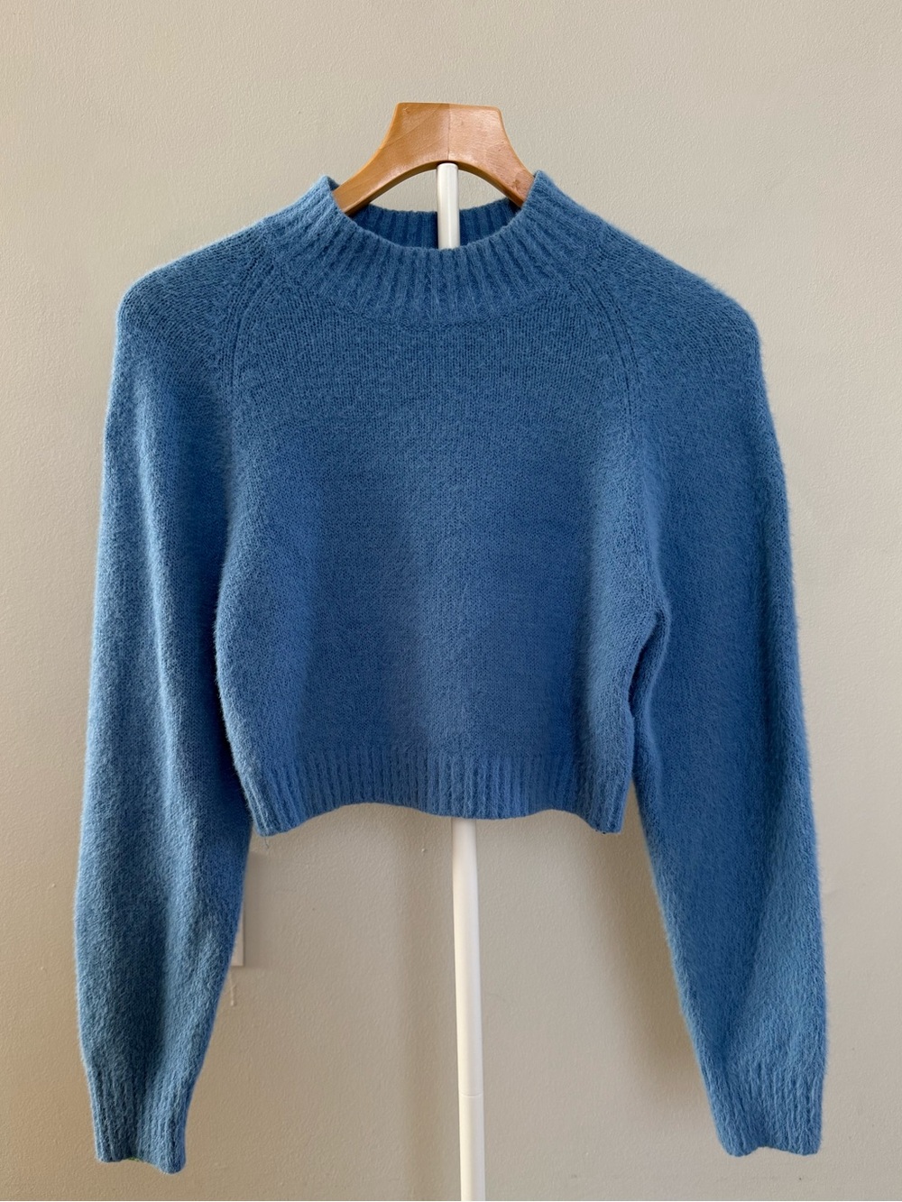 Urban Outfitters Blue Cropped Crewneck Sweater | L